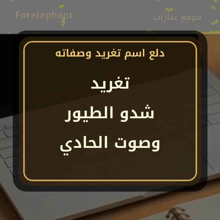 دلع اسم تغريد شدو الطيور وصوت الحادي