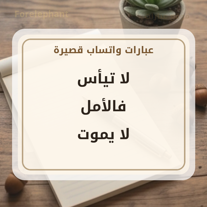 لا تيأس فالأمل لا يموت