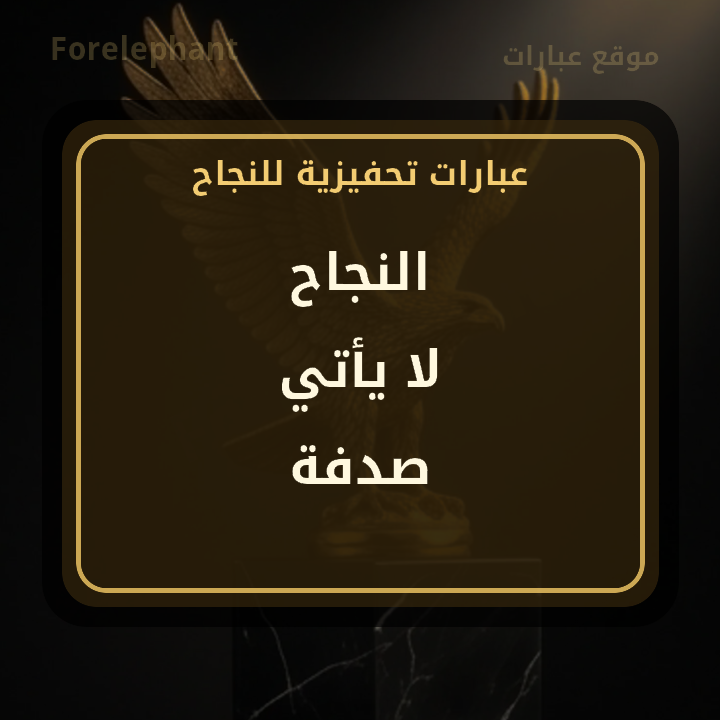 النجاح لا يأتي صدفة