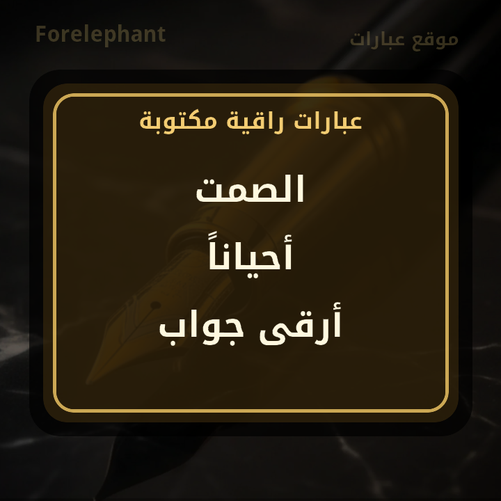 الصمت أحيانا أرقى جواب