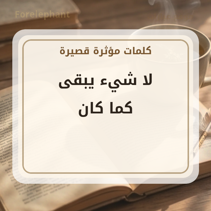 لا شيء يبقى كما كان