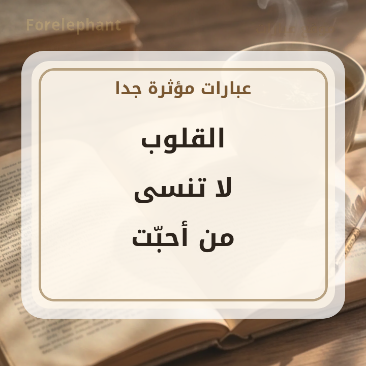 القلوب لا تنسى من أحبت